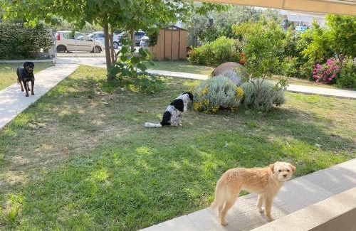 Thasos Town Casa | Port Rooms Pet Friendly