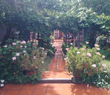 Cafayate Hotel | Portal de las Viñas