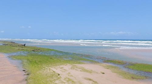 Taiba Casa | Portal Vida chalé na praia da Taiba