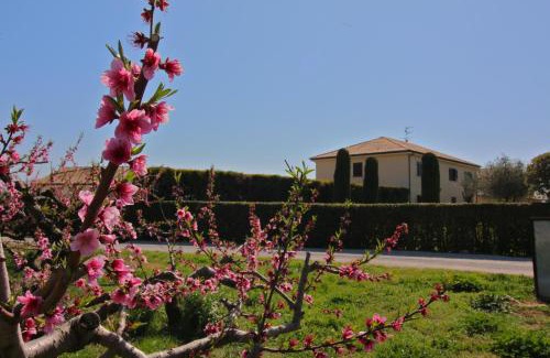 Paestum Casa | Portasirena Agriturismo