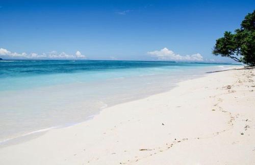 Hulhumale Hotel | Portia beach grand 2