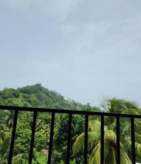 Blue Mountains National Park Apartamento | Portland Jamaica! Green and Lush! Volcano and Falls Yes!