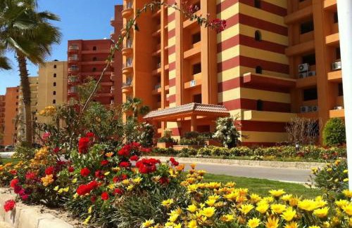 El Alamein Hotel | Porto golf marina Guest studio