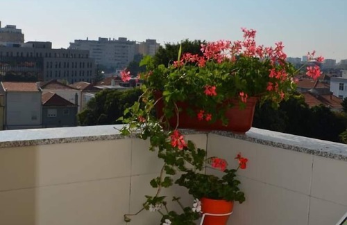 Boavista Apartamento | Porto: "Musical View II" - Fabulosa vista de la "Casa da Música" y sus alrededores