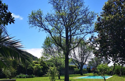 Belinho Casa | Portuguese villa, with garden and swimming pool, close to the sea and the river.
