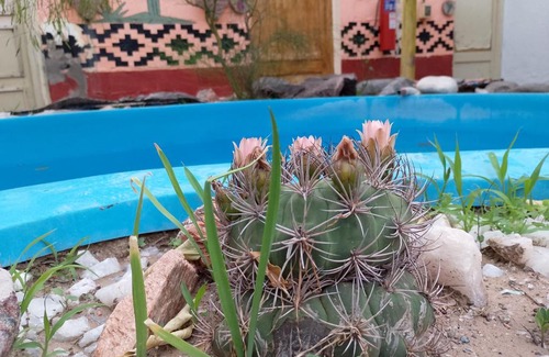 San Agustín de Valle Fértil Hotel | Posada del Valle