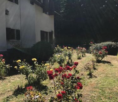 San Carlos de Bariloche Cabina | Posada del Angel