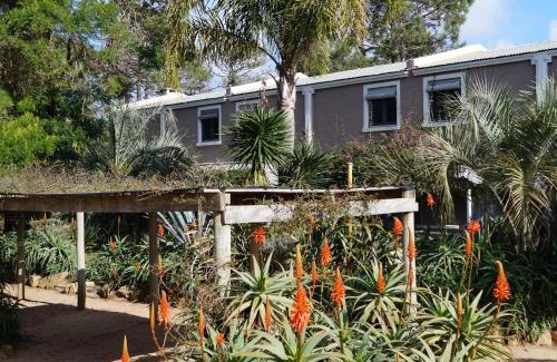La Paloma Apartamento | Posada del Corumbá