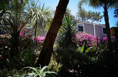 La Paloma Apartamento | Posada del Corumbá