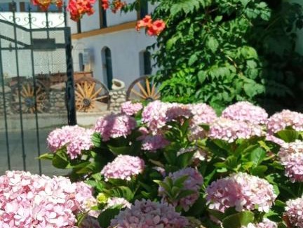 Chilecito Cama Y Desayuno | Posada Las Hortensias