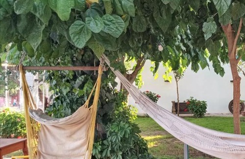 Chilecito Cama Y Desayuno | Posada Las Hortensias