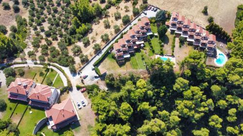 Kassandra Villa | Poseidi - Villa Olivia