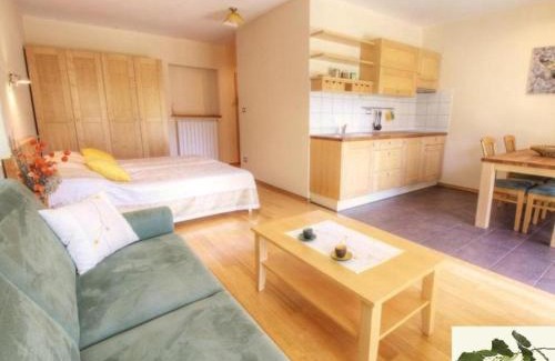 Nova Gorica Apartamento | Posestvo Laz - The Laz Estate