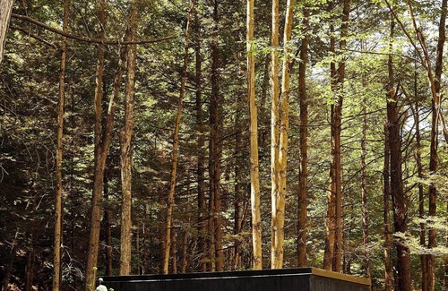 Catskill Cabina | Postcard Cabins Eastern Catskills