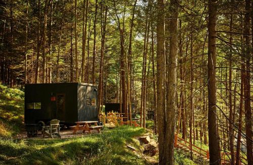 Pine River Otro | Postcard Cabins Wild Rose