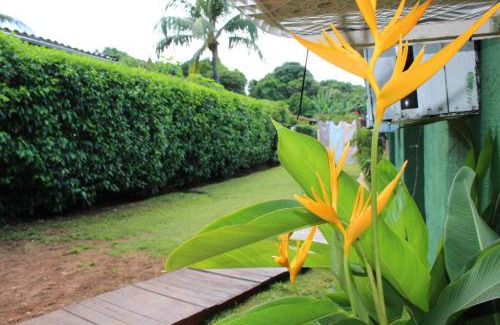 Floresta Velha Hotel | Pousada Algas Marinhas