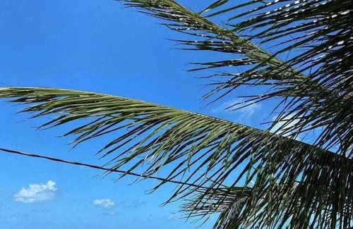 Conde Hotel | Pousada Brisa Marine