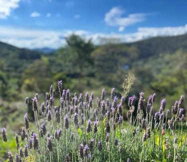 Monte Verde Cabina | Pousada Diamantiqueira