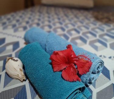 Itarema Cama Y Desayuno | Pousada Kite Guajiru