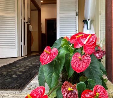 Historic Center Hotel | Pousada Pataca de prata - Pousada de Época