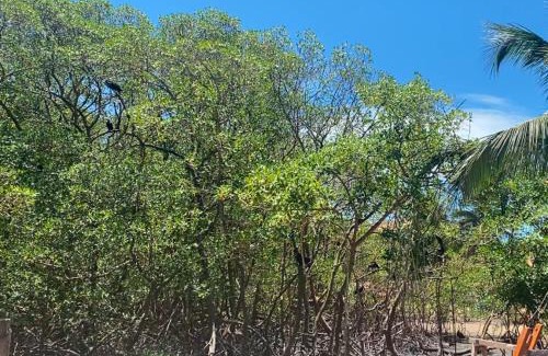 Corumbau Cabina | Pousada Raizes da Terra - Ponta do Corumbau