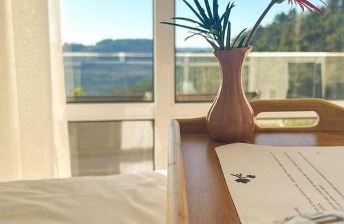 Bento Goncalves Apartamento | Pousada San Doná