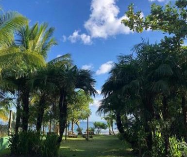 Barra Grande Hotel | Pousada Tortuga