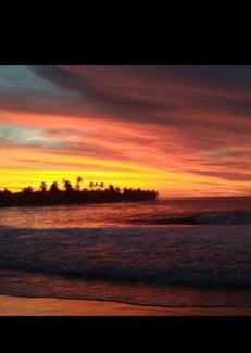 Barra Grande Hotel | Pousada Tortuga