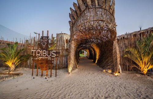 Prea Apartamento | Pousada TRIBUS experience