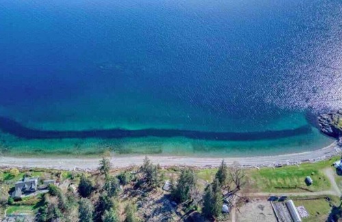 Powell River Cabaña | Powell River Pine Haven