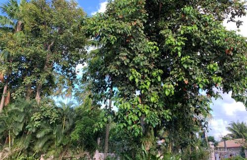 Dipolog Casa | Powers Holiday vacations