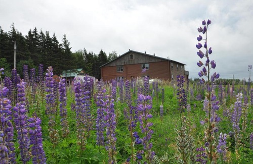 French River Cabina | Powley's Wild Goose Lodge