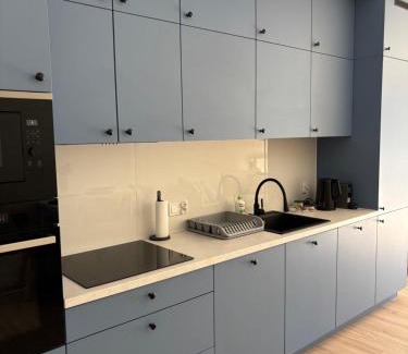 Grunwald Apartamento | Poznań Przytulne Apartamenty Leśnych Skrzatów