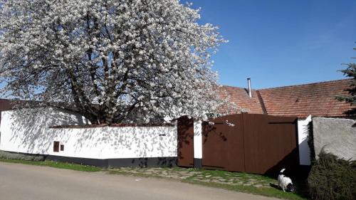 Okrouhla Apartamento | Prázdninová chalupa s uzavřeným dvorem a zahradou