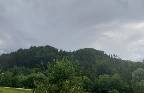Zalec Apartamento | Pr DOLENC