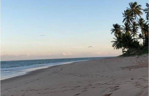 Praia do Forte Apartamento | Praia do Forte- Iberostar- Ap Luxuoso 3 qts