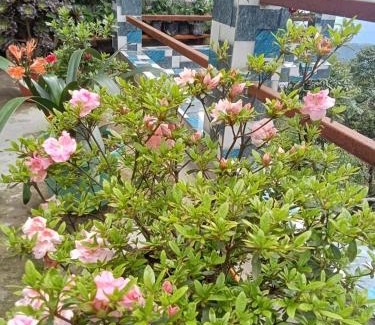 Ghoom Apartamento | Pranav Home - Stay
