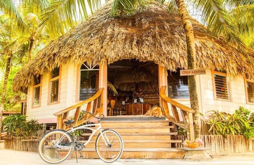 Thatch Caye Complejo | Premier Oceanfront Cabana w/ Private Roof Patio & Incredible Ocean Views