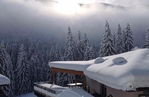 Reichenau Apartamento | Premium apartment in ski area Bad Kleinkirchheim