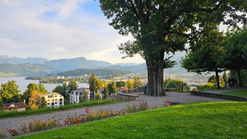 Lucerne Apartamento | Premium Apartment mit Pilatus Sicht