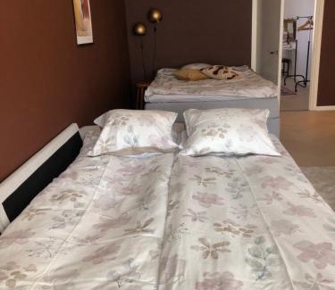 Kemi Apartamento | Premium City Center 2 rooms Apartment Glassed Balcony FREE PRIVATE PARKING