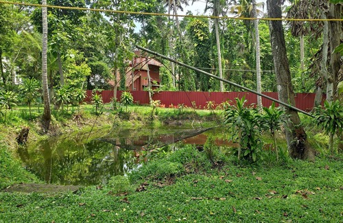 Pattanakkad Casa | Premium home stay with in-house Ayurveda body massage