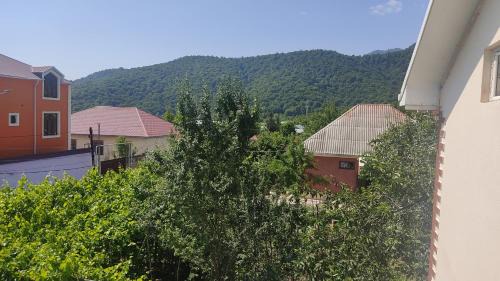 Gabala Casa | Premium House