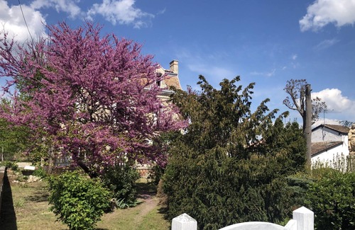 Gontaud Apartamento | Presbytère Notre Dame Appartement 1