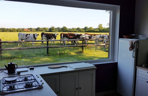 Vieux-Pont-en-Auge Cabaña | Pressoir de la Viette - Casa en Normandía - Vacas de pastizales para el barrio