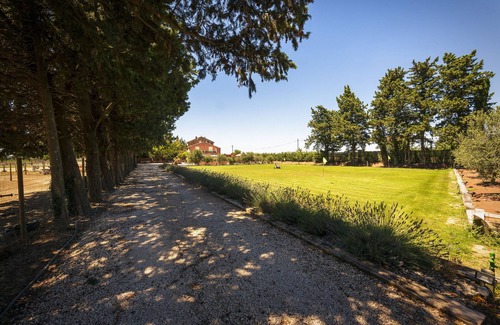 Courthezon Casa | PRESTIGIOUS HOUSE "THE HOUSE OF VENTOUX