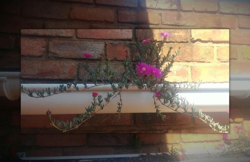 Pretoria Apartamento | Pretoria Garden flat in Kilner Park