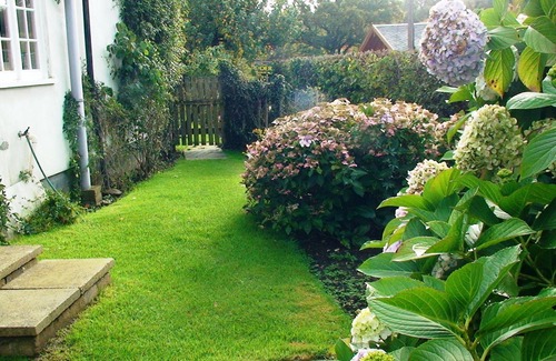 New Forest District Cabaña | Pretty cottage with direct access to The New Forest