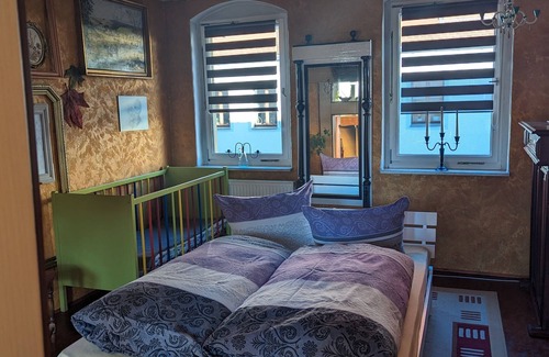 Bahnhofsvorstadt Cama Y Desayuno | Bonita habitación con chimenea y terraza.