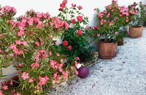 Eyragues Casa | Pretty house in a Provencal village